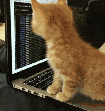 Webinaire NGAP