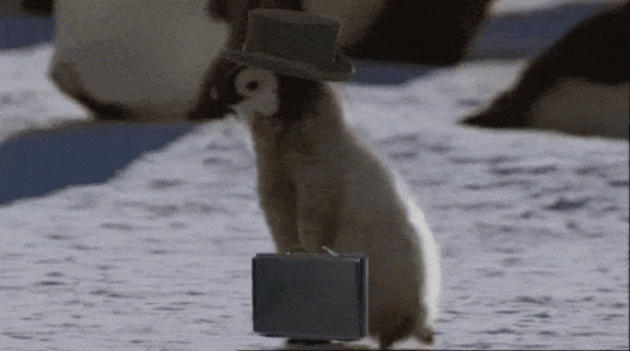 ngap,webinaire,programme,conference,inscrire,code,code de sante,sante,sante publique,code de sante publique,publique,infirmiere,infirmier,infirmiere liberale,infirmier liberal,idel,liberal,expert,nomenclature,facturation,droit