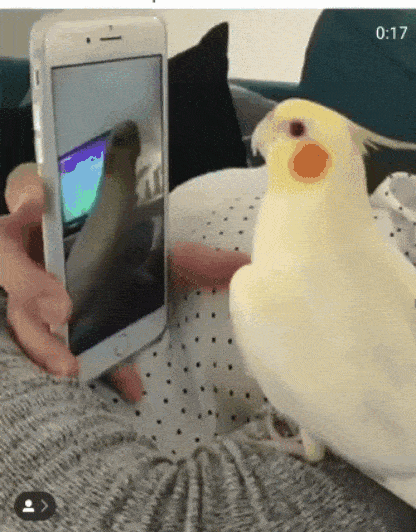 teleconsultation,desert medical,deserts medicaux,infirmier,infirmiere,infirmier liberal,infirmiere liberale,idel,telemedecine,conseils,facturer,facturation,ngap,nomenclature,actes,medical,medicale